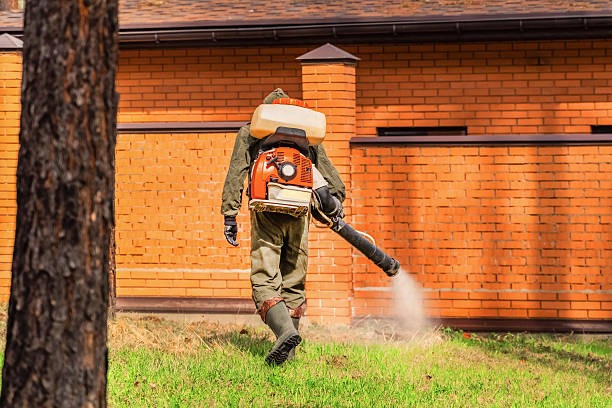 Bed Bug Clearance Verification and Documentation in Blue Ridge